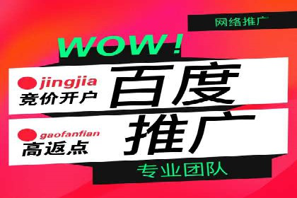 行业领先企业的SEM推广代运营实战经验
